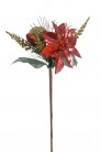 PICK NOEL POINSETTIA COMB.