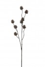 BRANCHE POMME DE PIN 70 CM BROWN