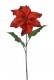 POINSETTIA 65CM ROUGE