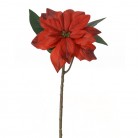 POINSETTIA 30CM ROUGE