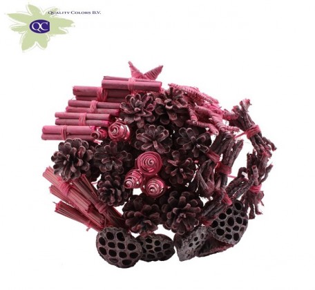 BOUQUET DRY FUCSIA