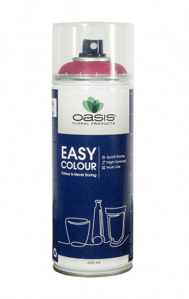 SPRAY EASY COLOUR ERIKA 400ML