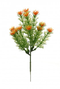 PIC CYPRESS 21 CM X 6 UNI NARANJA