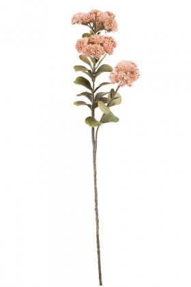 SEDUM 55CM ROSA