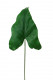 ANTHURIUM FEUILLE 39CM X12