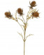 THISTLE 54CM BROWN