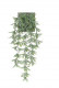 CENTAURIA CHUTE 70CM VERDE HEADER