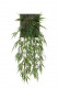 BAMBU CHUTE 58CM VERDE HEADER