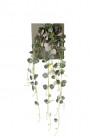 GEROPEGIA CHUTE 60CM GRIS HEADER