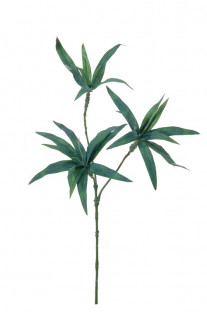 DRACAENA 37CM VERT