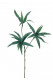 DRACAENA 37CM VERT