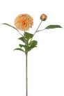 DAHLIA 60CM SALMON