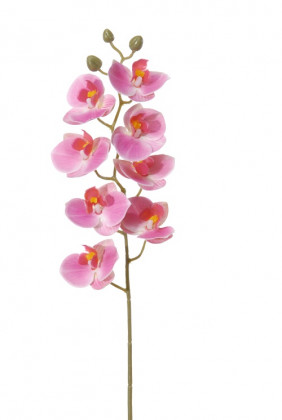 PHALAENOPSIS 75CM ROSA