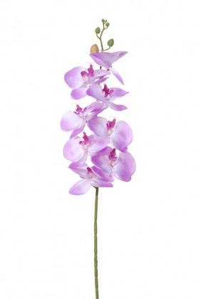 PHALAENOPSIS 90CM MAUVE