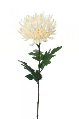 CHRYSANT 82CM CREME