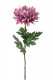 CHRYSANT 82CM MAUVE