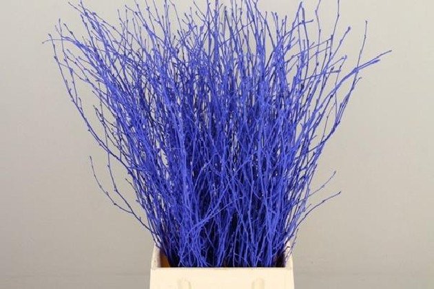 BETULA VRF 60CM X10T AZUL ELECTRICO.