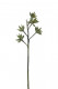 BRANCHE EUCALYPTUS SEMENCES 132CM VERT