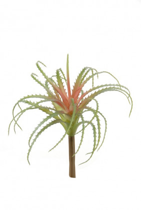 TILLANDSIA H21CM VERT/ROUGE