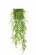 BAMBU CHUTE 75CM VERDE HEADER