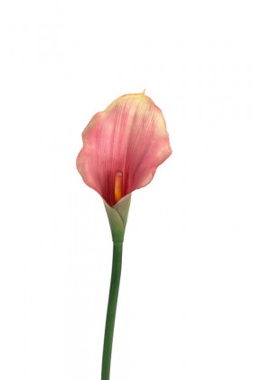 CALLA 55CM ROSE FONCE