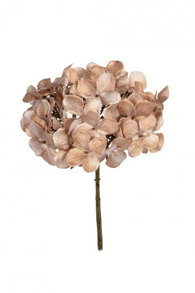 HORTENSIA 50CM BEIGE