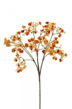 GYPSOPHILLA 70CM ORANGE