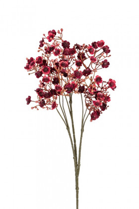 GYPSOPHILLA 70CM BURDEOS