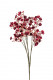 GYPSOPHILLA 70CM BURDEOS