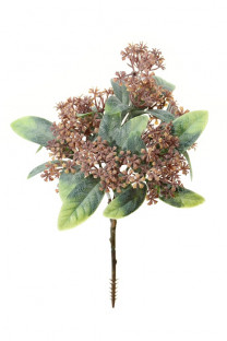 OSMANTHUS FRAGANS 22CM NARANJA