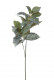 BRANCHE DE FITTONIA 50 CM VERT