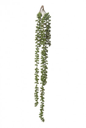 SENECIO CHUTE 70CM VERT