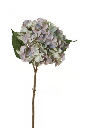 HORTENSIA 45CM BLEU/VERT