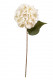 HORTENSIA 57CM CREMA