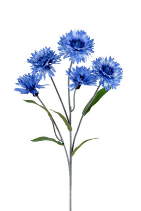 KORENBLOEM 60CM BLEU