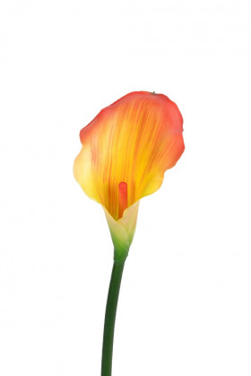 CALLA 55CM ORANGE