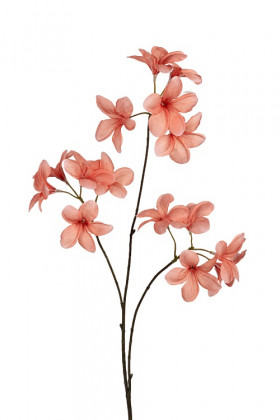 FRANGIPANI 90CM SALMON