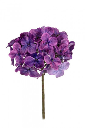 HORTENSIA 50CM PURPLE