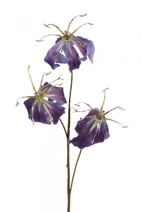 GLORIOSA 80CM BLEU/MAUVE