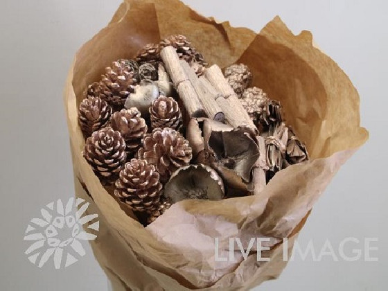 BOUQUET DRY MIX PLATINO 70CM