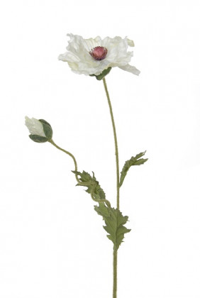 PAPAVER L80CM CRÈME