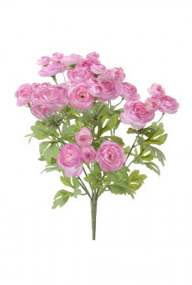 RENONCULE PIQUET H35CM ROSE