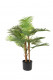 ARECA 90CM GROEN