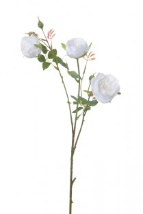 ROSE 60CM BLANCA