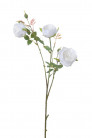 ROSE 60CM BLANCA