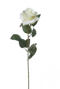 ROSE 66CM CRÈME