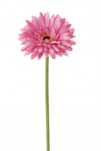 GERBERA 58 CM ROSE