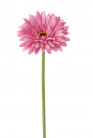 GERBERA 58 CM ROSE