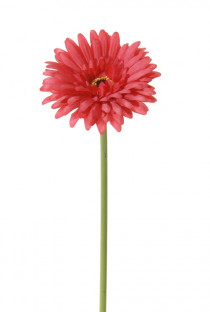 GERBERA 58 CM CERISE