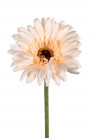 GERBERA 58 CM SAUMON